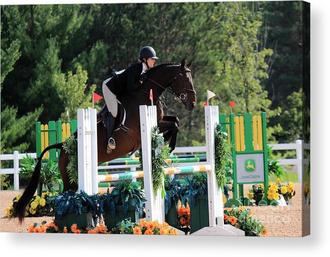 Horse Acrylic Print featuring the photograph Ac-medal25 by Janice Byer