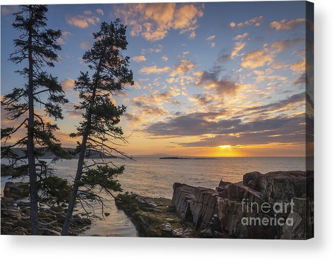 Maine Sunrise Acrylic Print featuring the photograph Acadia Coast at Sunrise by Michael Ver Sprill