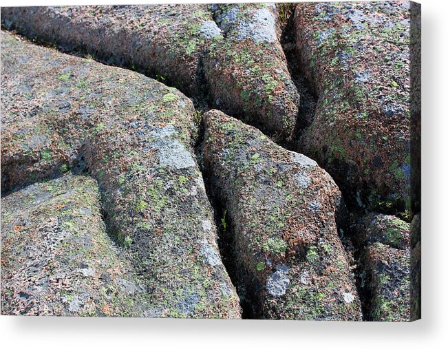 Acadia Acrylic Print featuring the photograph Acadia Granite 19 by Mary Bedy