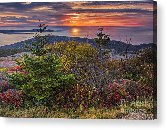 Acadia National Park Sunrise Acrylic Print featuring the photograph Acadia National Park Sunrise by Priscilla Burgers