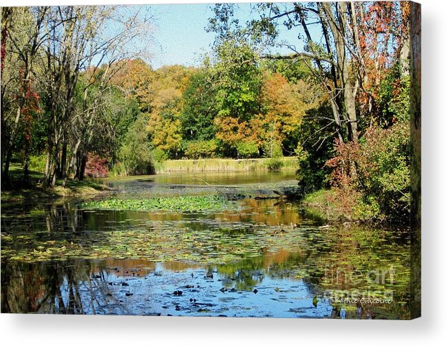 Leaves Acrylic Print featuring the photograph Across the Pond by Kathie Chicoine
