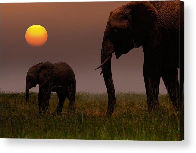 Kenya Acrylic Print featuring the photograph African Mother Elephant And Baby - by 1001slide