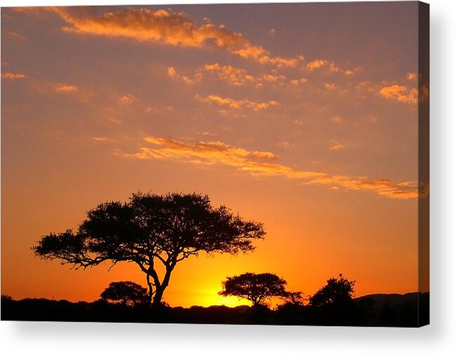 Africa Acrylic Print featuring the photograph African Sunset by Sebastian Musial