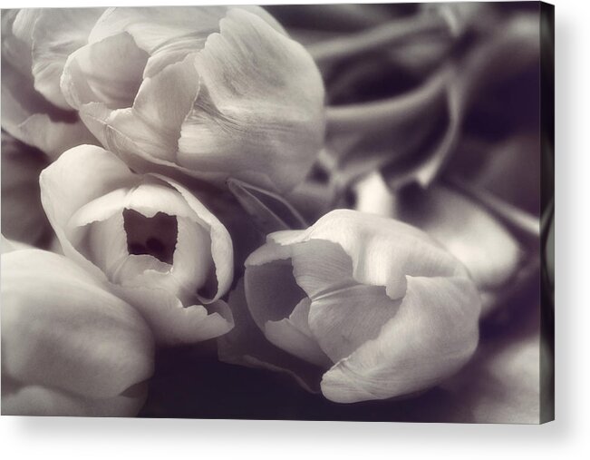 Floral Acrylic Print featuring the photograph Afternoon Delight by Darlene Kwiatkowski
