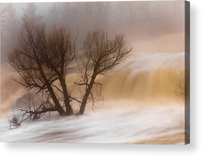 against The Current st. Louis River jay Cooke thomsen Reservoir spring Tree long Exposure spring Melt fog mist nature river mary Amerman Acrylic Print featuring the photograph Against The Current by Mary Amerman