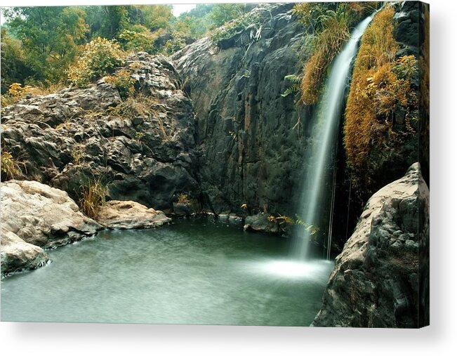 Scenics Acrylic Print featuring the photograph Agasthiyar Falls, Tamilnadu by Sivaraj Mathi Oviyangal