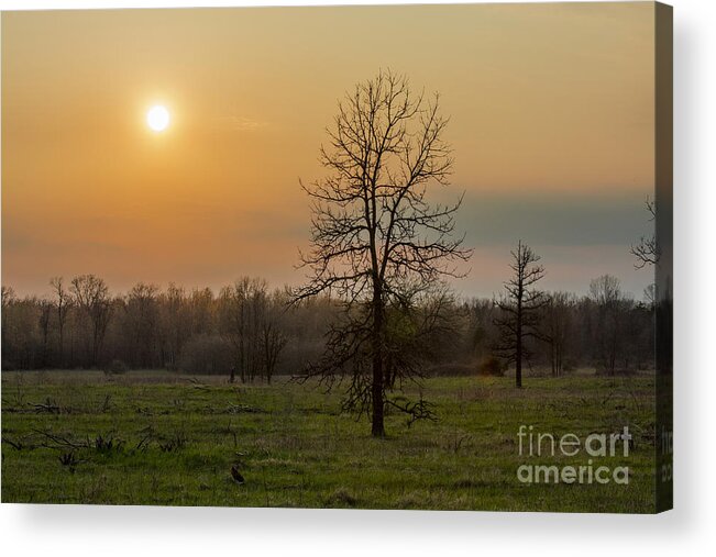 Landscape Acrylic Print featuring the photograph Aided By Fire by Dan Hefle