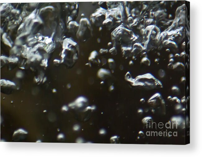 Bubbles Acrylic Print featuring the photograph Air in the water also known as a bubble by Joel Loftus