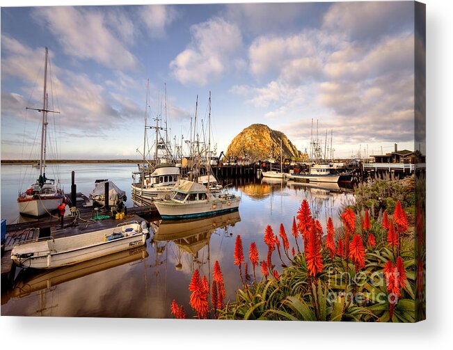 California Acrylic Print featuring the photograph Almost Heaven by Alice Cahill