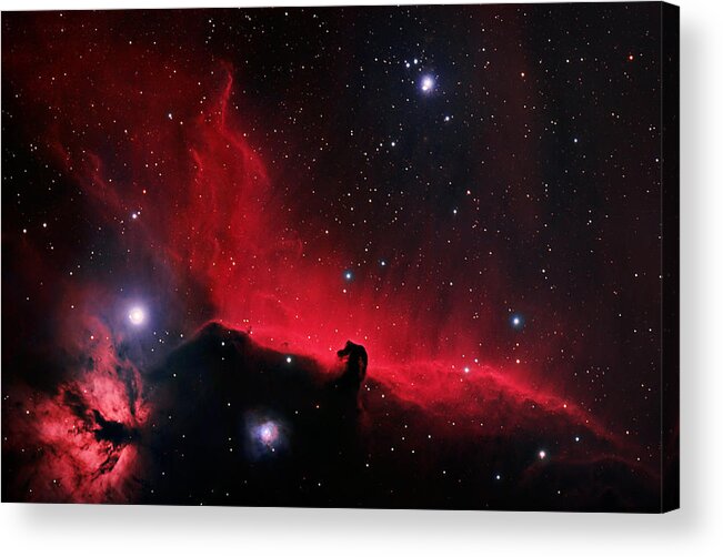 Horsehead Nebula Acrylic Print featuring the painting Alnitak region in Orion by Celestial Images