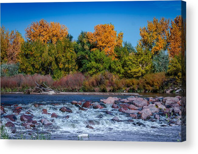 Creek Acrylic Print featuring the photograph Along the Creek by Ernest Echols
