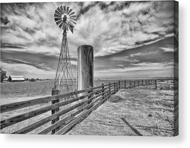 Fence Acrylic Print featuring the photograph Along the Fence by Robin Mayoff