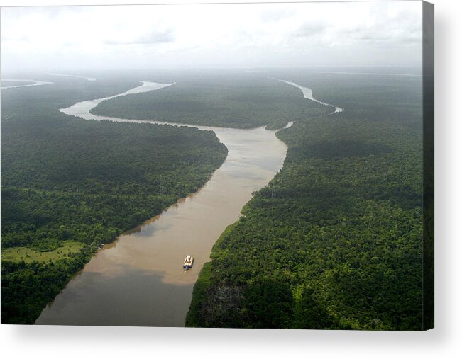 Tropical Rainforest Acrylic Print featuring the photograph Amazon River, Near Belem by Ricardo Lima