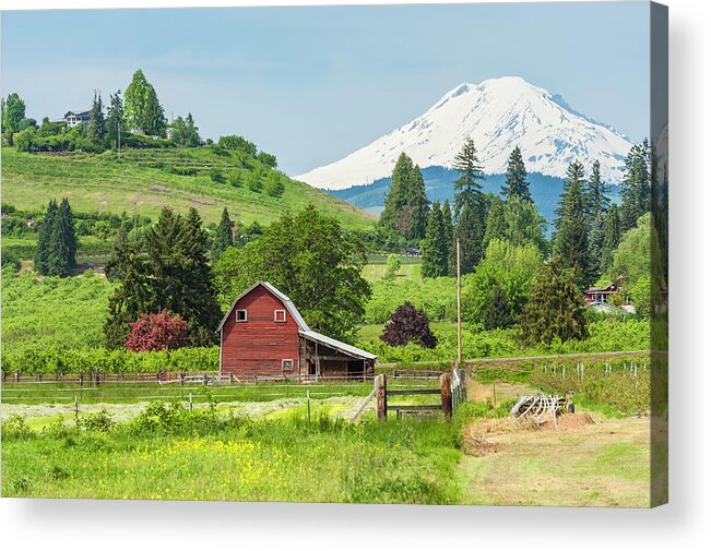 Scenics Acrylic Print featuring the photograph American Red Barn In Green Farmland by Fotovoyager
