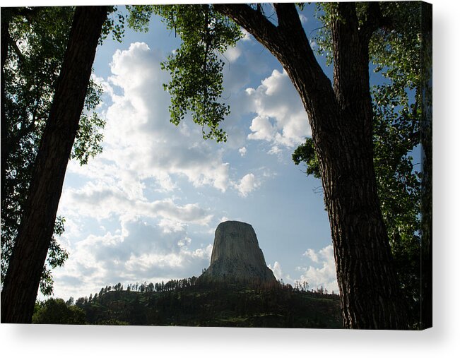 Dakota Acrylic Print featuring the photograph Among the Cottonwoods at Devils Tower by Greni Graph