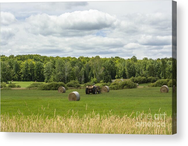 Rural Landscape Acrylic Print featuring the photograph an American Dream by Dan Hefle