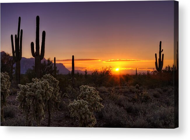 Sunrise Acrylic Print featuring the photograph An Arizona Winter Sunrise by Saija Lehtonen