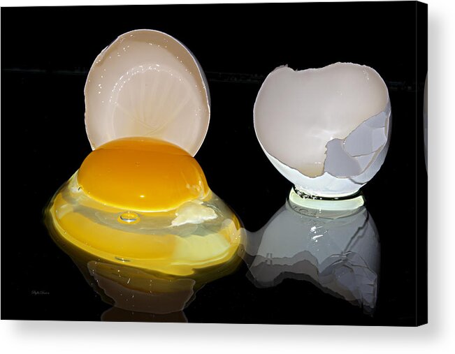 Egg Acrylic Print featuring the photograph An Egg by Phyllis Denton