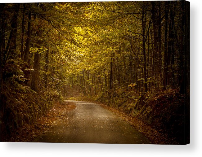Rodney Acrylic Print featuring the photograph Country Road in Mississippi by T Lowry Wilson