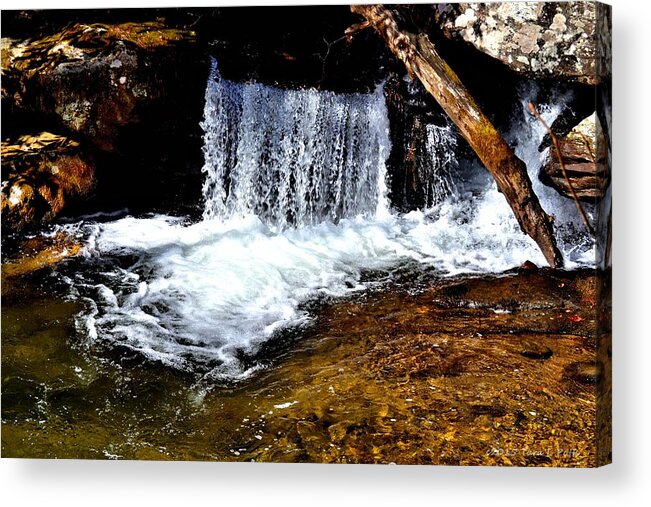 Anna Ruby Falls Acrylic Print featuring the photograph Anna Ruby Falls V by Tara Potts