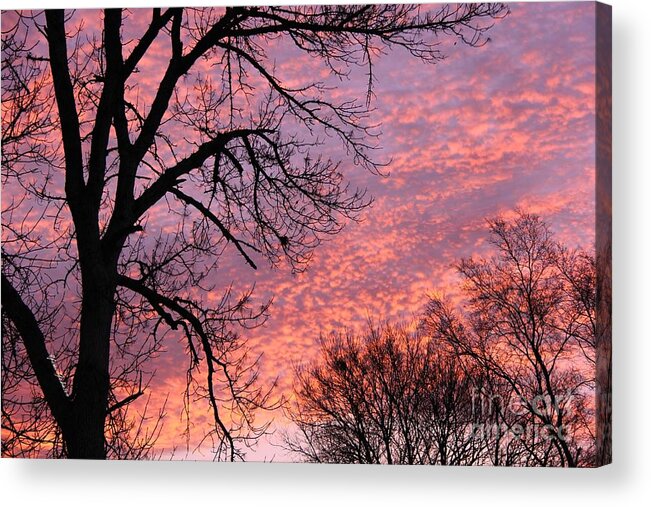 Sunrise Acrylic Print featuring the photograph Another Sunrise by Yumi Johnson