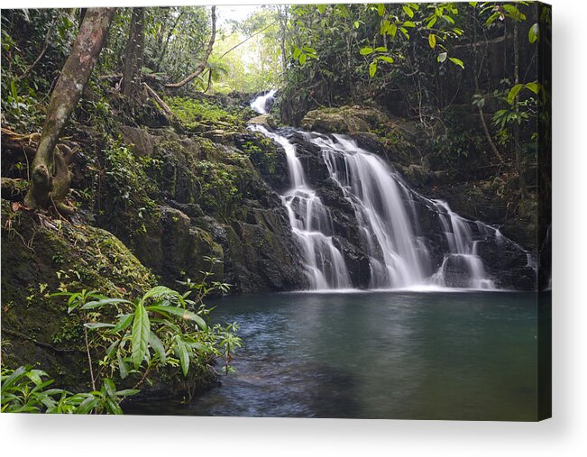 536564 Acrylic Print featuring the photograph Antelope Falls Mayflower Bocawina Belize by Scott Leslie