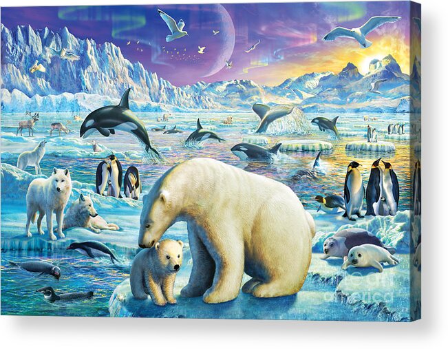 Adrian Chesterman Acrylic Print featuring the digital art Arctic Night by MGL Meiklejohn Graphics Licensing