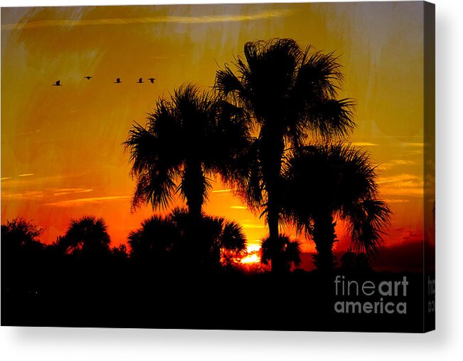 Sunset Acrylic Print featuring the digital art Artistic Florida Sunset by Jayne Carney
