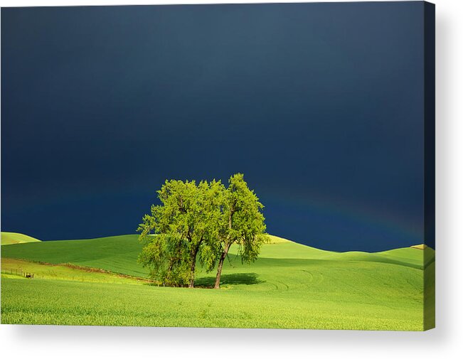 Dark Acrylic Print featuring the photograph As the Sun Returns by Mary Lee Dereske