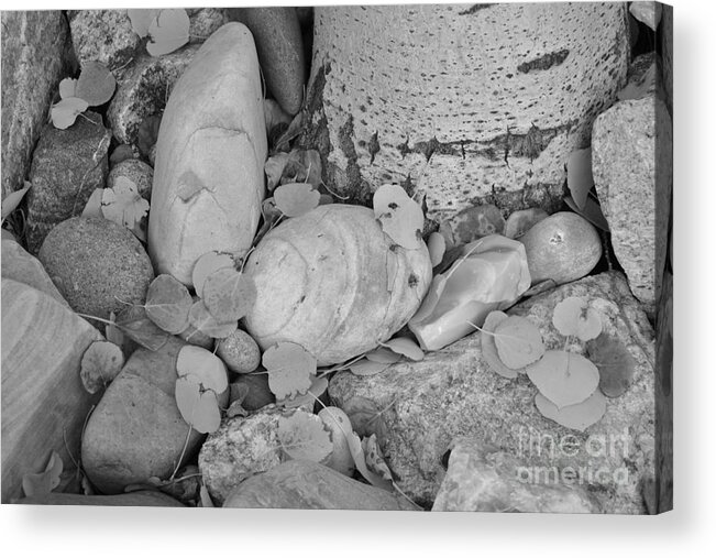 Aspen Acrylic Print featuring the photograph Aspen Leaves on the Rocks - black and white by Dorrene BrownButterfield