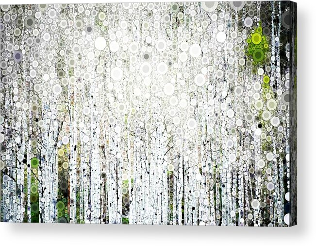 Aspen Acrylic Print featuring the digital art Aspens in the Spring by Linda Bailey