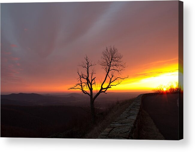 Nature Acrylic Print featuring the photograph At First Light by Everett Houser