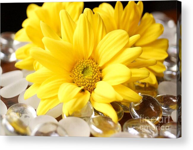Flower Acrylic Print featuring the photograph At Peace by Kerri Mortenson