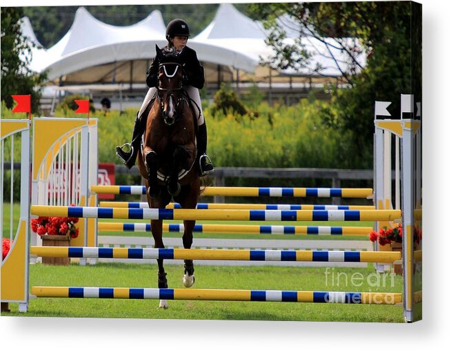 Horse Acrylic Print featuring the photograph At-su-jumper13 by Janice Byer