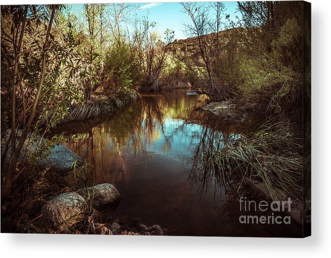 California Acrylic Print featuring the photograph At the River by Alexander Kunz
