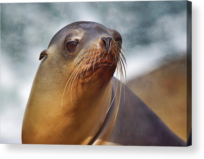 Sea Lion Acrylic Print featuring the photograph At the Sea by Leda Robertson