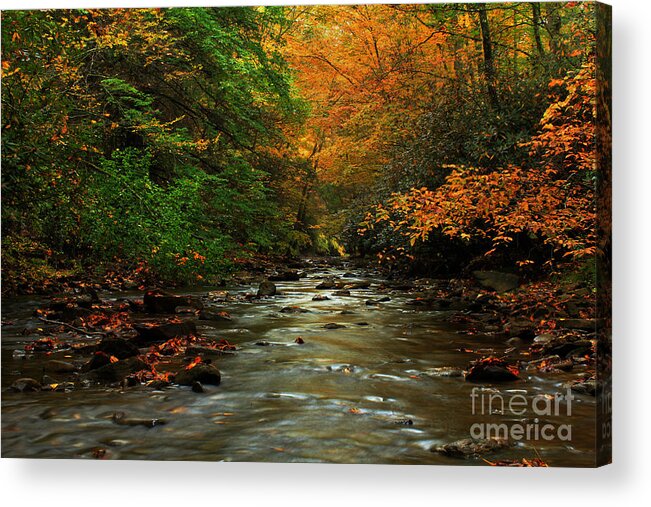 Landscape Acrylic Print featuring the photograph Autumn Creek by Melissa Petrey