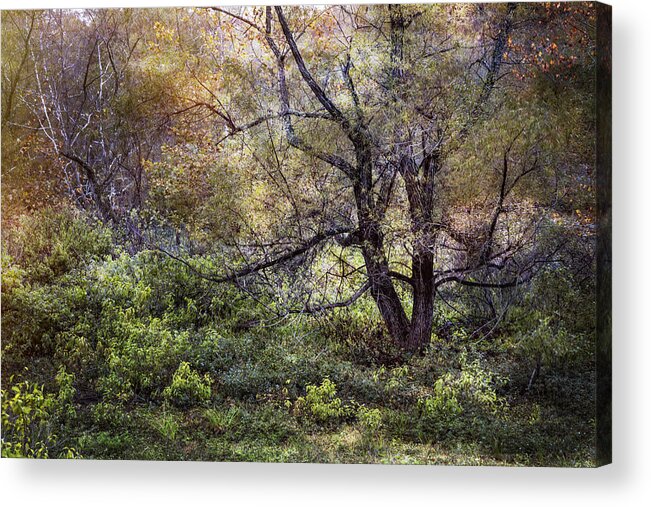 Apalachia Acrylic Print featuring the photograph Autumn Enchantment by Debra and Dave Vanderlaan