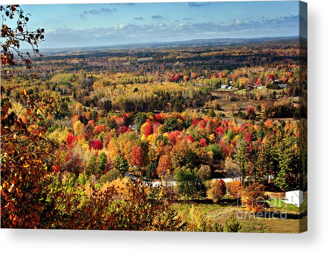 Autumn Picture Acrylic Print featuring the photograph Autumn Glory Landscape by Gwen Gibson