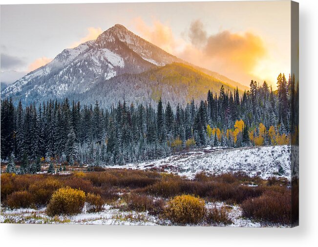 Big Cottonwood Canyon Acrylic Print featuring the photograph Autumn Glow by Emily Dickey