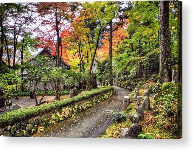 Leaf Countryside Autumn Tree Colours Nature Forest Season Park Outdoors Fall Yellow Sun Background Man Garden Green Colourful Spring Trees Red Couple Orange Natural Wood Health Foliage Landscape Maple Tree Environment Acrylic Print featuring the photograph Autumn Walk by John Swartz