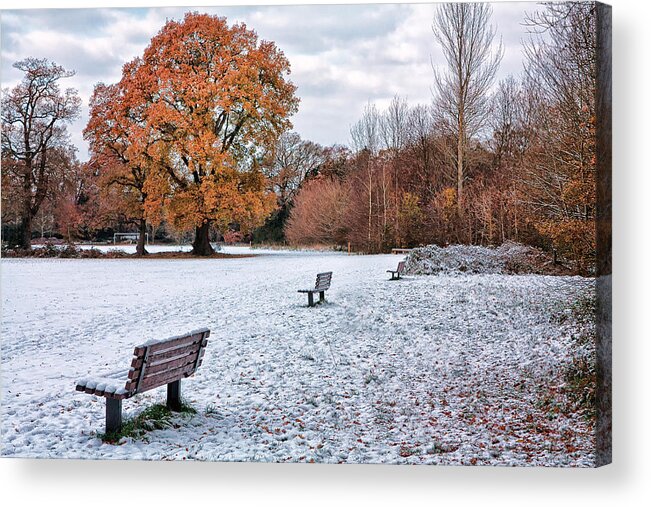 Shirley Mitchell Acrylic Print featuring the photograph Autumn meet Winter by Shirley Mitchell