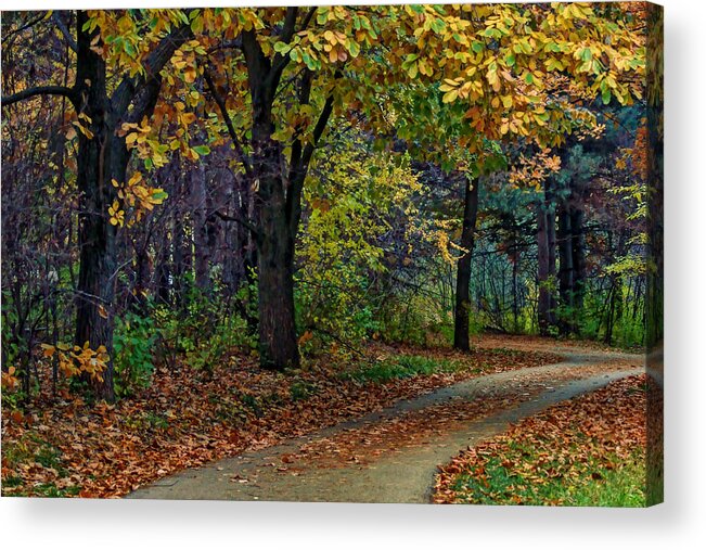 Autumn Acrylic Print featuring the photograph Autumn Path by Nikolyn McDonald
