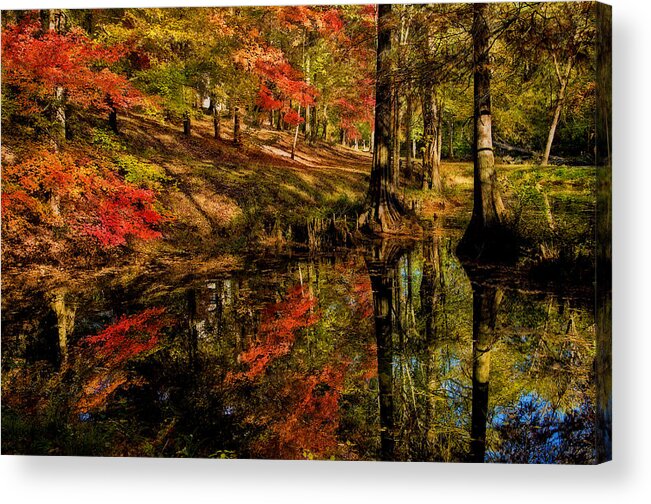 Nature Acrylic Print featuring the photograph Autumn Reflections by Michael Whitaker