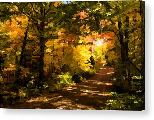 Autumn Acrylic Print featuring the digital art Autumn Road Impressions by Georgia Mizuleva
