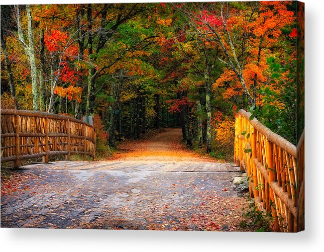 Autumn Acrylic Print featuring the photograph Autumn Road by Jeff Sinon