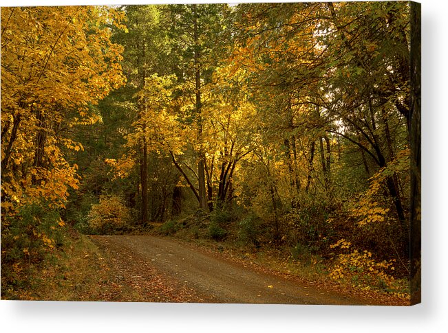 Loree Johnson Acrylic Print featuring the photograph Autumn Road by Loree Johnson