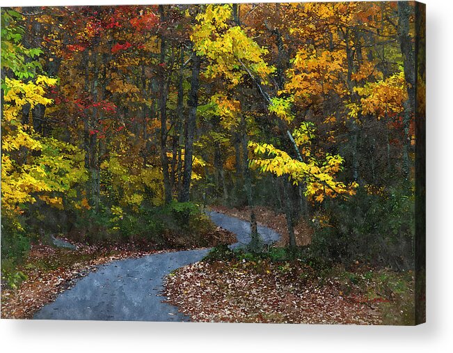 Autumn Acrylic Print featuring the painting Autumn Road by Lynne Jenkins