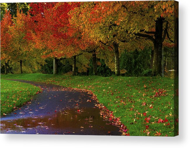 Autumn Shades Of Color - Paul Harrett Acrylic Print featuring the photograph Autumn Shades of Color by Paul Harrett