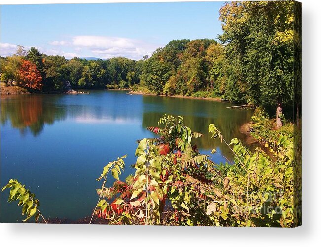 Autumn Acrylic Print featuring the photograph Autumn Splendor -Catskill Creek by Ellen Levinson